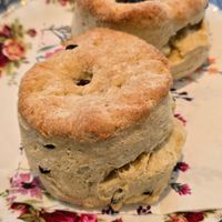 Fruit scone at Fox In The Stables in Halstead