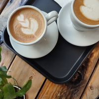  at Caffeinated in Busan