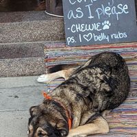 Maitre 'D Chewie at Chewie's Bar in Stockholm