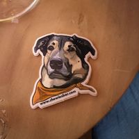 Merch   at Chewie's Bar in Stockholm