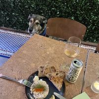   at Chewie's Bar in Stockholm