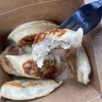 Pierogis  at Inna's Pierogi Shop in Lititz