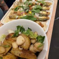   at PLANTn - Sapphire House Antwerp in Antwerpen