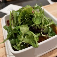   at PLANTn - Sapphire House Antwerp in Antwerpen