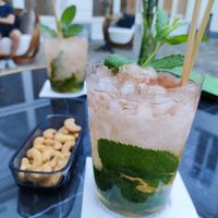  at PLANTn - Sapphire House Antwerp in Antwerpen