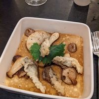  at PLANTn - Sapphire House Antwerp in Antwerpen