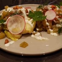 Little gem (starter) at PLANTn - Sapphire House Antwerp in Antwerpen