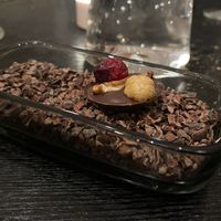 Chocolate Praliné   at PLANTn - Sapphire House Antwerp in Antwerpen