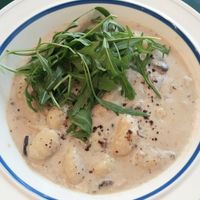Mushroom Creamy Gnocchi #Veganuary at VFUS 비푸스 in Seoul