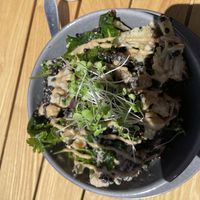   at Earth Store  in Whitianga