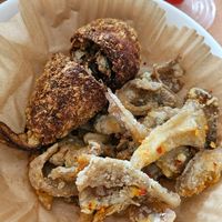 V Wing and Oyster Mushroom ~ 26/5/24 still good when delivered at The Kind Bowl - Serangoon Garden in Northeast Singapore