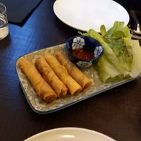 Vegan springrolls at NUNU in Rome