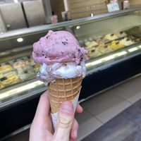   at Madonna Vegan in Figueres