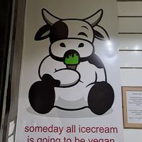  at Madonna Vegan in Figueres