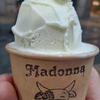  at Madonna Vegan in Figueres