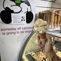 Cone  at Madonna Vegan in Figueres