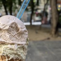  at Madonna Vegan in Figueres