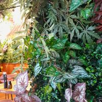 Inrichting at Hawaiian Poké Bowl in Tilburg