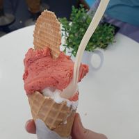 melon and strawberry flavor at Cremeria Candia in Rome