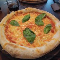  at Gatto Matto Ristorante in Bratislava