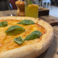   at Gatto Matto Ristorante in Bratislava