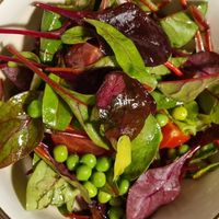  at Gatto Matto Ristorante in Bratislava