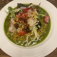 Green vegan salad  at Gatto Matto Ristorante in Bratislava