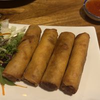 Spring rolls  at Cookatoo Kitchen in Richmond