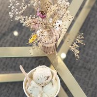   at enila plant based ice cream in Basel