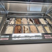   at enila plant based ice cream in Basel
