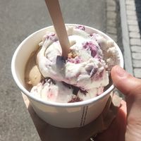  at enila plant based ice cream in Basel