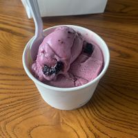 Vegan Black Cherry Ice Creamm  at Matt & Mo's in Hazel Park