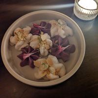 Starry night pt 2 at Hawker in Toronto