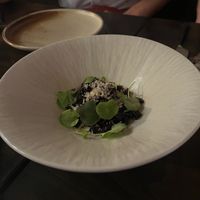   at Hawker in Toronto