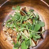   at Hawker in Toronto