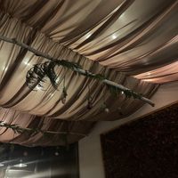   at Hawker in Toronto