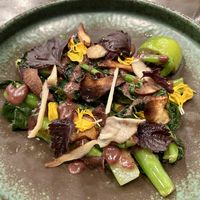   at Hawker in Toronto