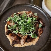   at Hawker in Toronto