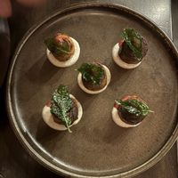   at Hawker in Toronto