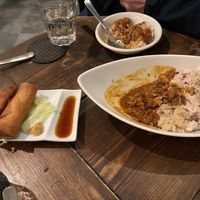Vegan curry and fried spring rolls  at Craft Beer Server Land in Tokyo