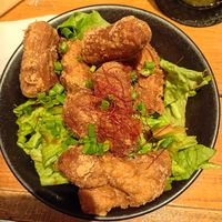 The vegan soy "meat" fries at Craft Beer Server Land in Tokyo