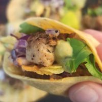 Close up of the vegan taco at Casa de Tacos in Bucharest