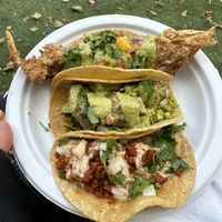Fysh taco (fried banana blossom) , battered avo taco, stuffed jalepeno taco!  at Nepantla in Detroit