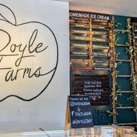 Must go!! at Doyle Farms in North Rose