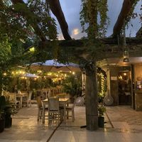 Jolie cour intérieure! Belle vive!  at La Fonda del Zancudo in Cancun