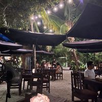 very lovely outdoor space  at El Tigre y el Toro in Cancun