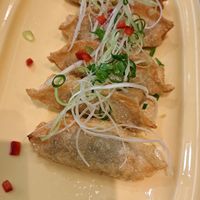 Gyoza at Plantude 플랜튜드 in Seoul