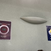 Wall decor  at Plantude 플랜튜드 in Seoul