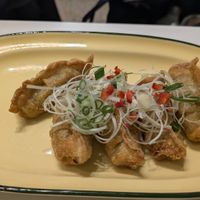 Fried dumplings (mandu) at Plantude 플랜튜드 in Seoul