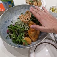 Hand for scale, meals are massive! at Plantude 플랜튜드 in Seoul
